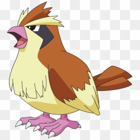 Pokemon In Real Life Pidgey, HD Png Download - zubat png