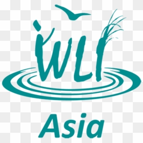 Wetland Link International Wli Logo, HD Png Download - asia png