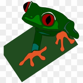 Red-eye Frog Svg Clip Arts - Green Dart Frog Clipart, HD Png Download - red eye png