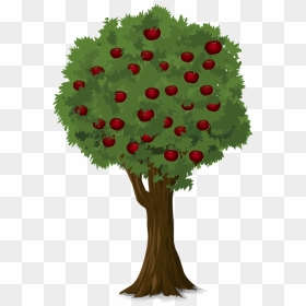 Transparent Apple Tree Png - Albero Melo Png, Png Download - apple tree png