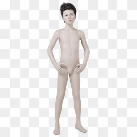 Realistic Child Mannequins - Mannequin, HD Png Download - mannequin png