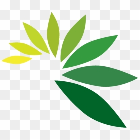 Green Leaf Logo Png - Leaf For Logo Png, Transparent Png - green leaf png