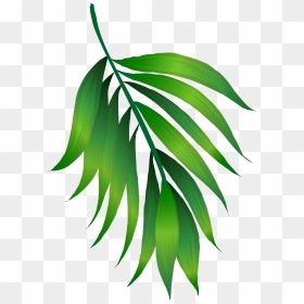 Simple Green Leaves Png Download - Green Leaves Transparent Background, Png Download - green leaf png