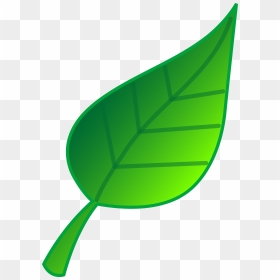Leaves Clip Art Png - Clip Art Green Leaf, Transparent Png - green leaf png