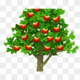 Picture Of Apple Tree - Apple Tree Png, Transparent Png - apple tree png