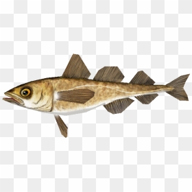 Download Zip Archive - European Pollock, HD Png Download - cod png