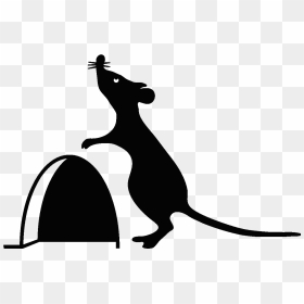 Rat Hole Clipart, HD Png Download - hole in wall png