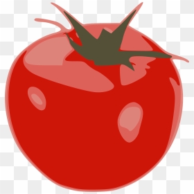 Tomato, HD Png Download - vegetable png