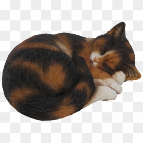 Sleeping Cat Png - Sleeping Cat Transparent Background, Png Download - cat png transparent