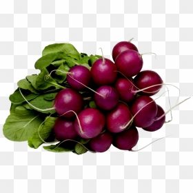 Purple Radishes, HD Png Download - vegetable png