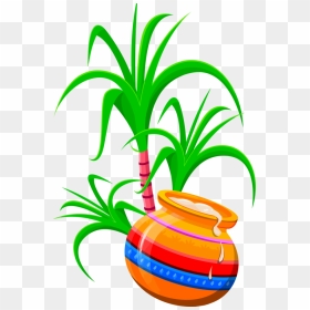 Transparent Pongal Houseplant Flowerpot Leaf For Thai - Happy Pongal Greeting Cards, HD Png Download - flower pot png