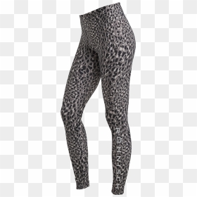 Leggings, HD Png Download - leopard print png