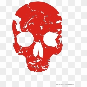 Bone Human Skull Skeleton Free Transparent Image Hq - Png Download Red Skull Png, Png Download - red skull png