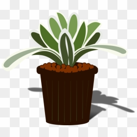 Plant,flowerpot,tree - Vector Pot Bunga Png, Transparent Png - flower pot png