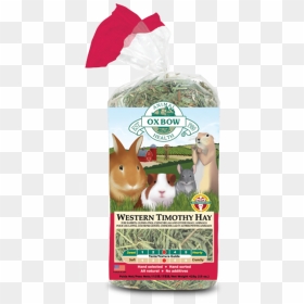 Foin Pour Chinchilla, HD Png Download - hay png