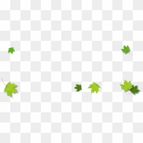 Green Maple Leaf Border, HD Png Download - fall leaf border png