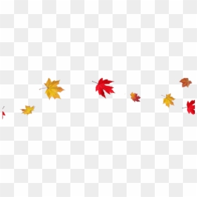 Transparent Autumn Leaf Border, HD Png Download - fall leaf border png