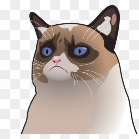 Grumpy Cat Facebook Cover, HD Png Download - facepalm meme png