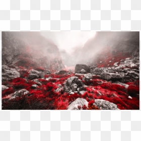 Foggy Valley, HD Png Download - red fog png