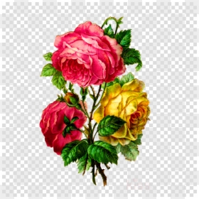 Flower, HD Png Download - garden flowers png