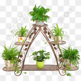 Flower Stand Png, Transparent Png - garden flowers png