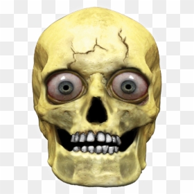 Skull Head Png, Transparent Png - skull mask png