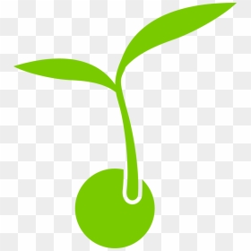 Sprout Png, Transparent Png - sprout png