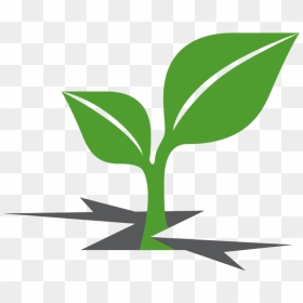 Plant Sprout Clipart - Crime Victims Treatment Center, HD Png Download - sprout png
