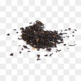Seed, HD Png Download - curry leaves png