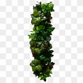 Wall Decor Png File - Brussels Sprout, Transparent Png - sprout png