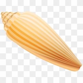 Shell Png Clip Art - Vegetable, Transparent Png - clam png