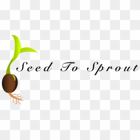 Frankie B, HD Png Download - sprout png
