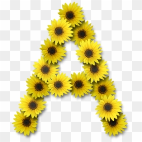 Sunflower Alphabet Letters Png, Transparent Png - alphabets png