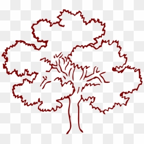 Clip Art Tree Outline - Clipart Tree Outline, HD Png Download - neem tree png