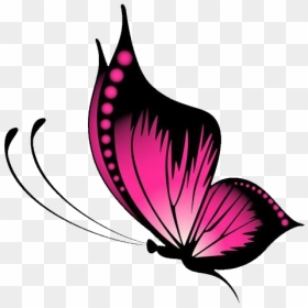 Vector Butterfly Png Image Background - Transparent Butterfly Design Png, Png Download - butter fly png
