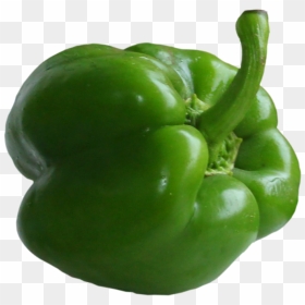 Green Bell Peppers Png - Green Pepper Transparent Background, Png Download - capsicum png
