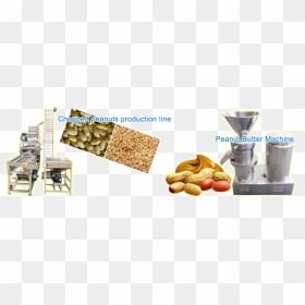 Peanut, HD Png Download - groundnut png