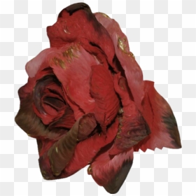Image - Hybrid Tea Rose, HD Png Download - rose.png