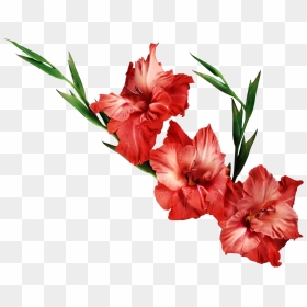 Png Flower Images With Transparent Background, Png Download - png flowers download