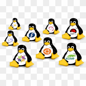 Linux Hosting Clipart Hosting Png - Linux Distributions, Transparent Png - hosting png