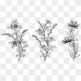 Line Art, HD Png Download - flowers in png