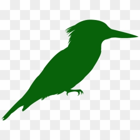 Portable Network Graphics, HD Png Download - kingfisher png