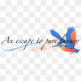 Pure Luxury - Calligraphy, HD Png Download - kingfisher png