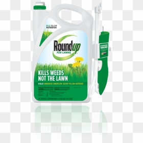 Roundup For Lawns, HD Png Download - weeds png