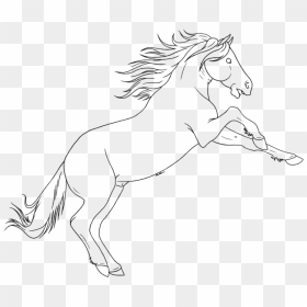 Drawn Horse Mustang Horse - Mustang, HD Png Download - kuda png