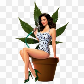 Weeds Nancy Botwin Mary Louise Parker - Weeds Mary Louise Parker, HD Png Download - weeds png
