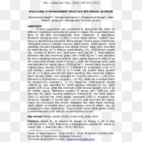 Document, HD Png Download - weeds png