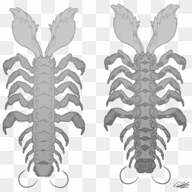 Desert Centipede Top And - American Lobster, HD Png Download - centipede png