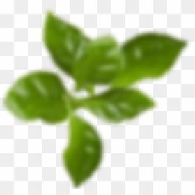 See Our Accessories - Transparent Blur Leaf Png, Png Download - transparent blur png