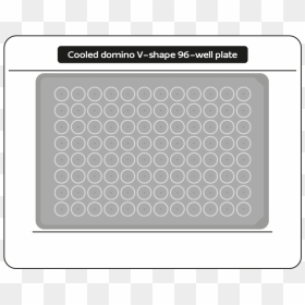 Circle, HD Png Download - domino png